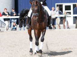 IMG_8057_web